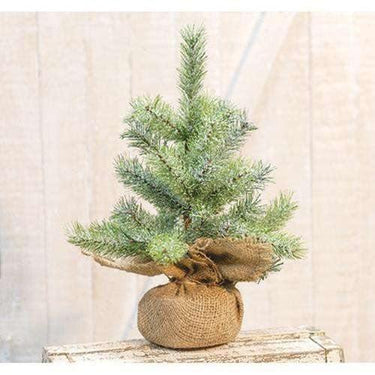 Icy Rocky Mountain Pine Tree - The Fox Decor